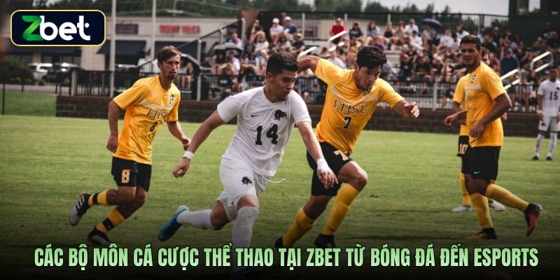 Các bộ môn cá cược thể thao tại Zbet từ bóng đá đến esports