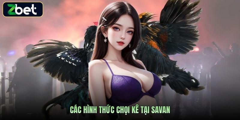 Các hình thức chọi kê tại Savan