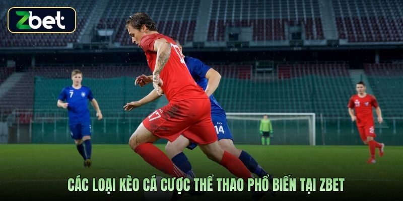 Các loại kèo cá cược thể thao phổ biến tại Zbet