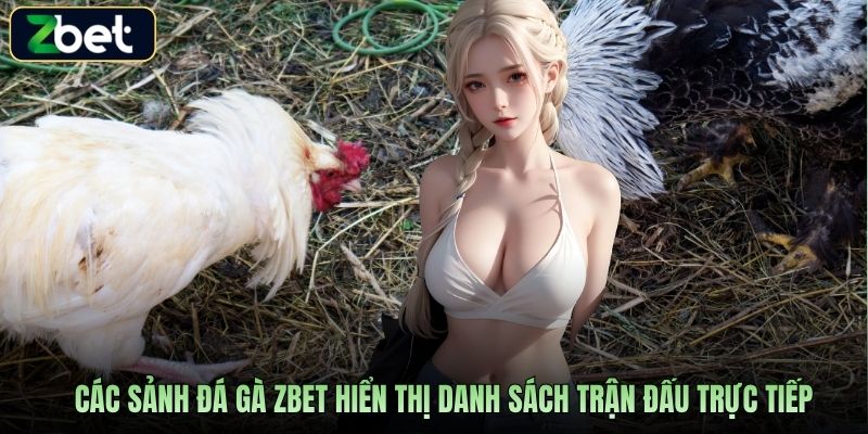 Các sảnh đá gà Zbet hiển thị danh sách trận đấu trực tiếp