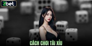 CÁCH CHƠI TÀI XỈU ZBET CHI TIẾT CHO NGƯỜI MỚI TỪ CƠ BẢN ĐẾN NÂNG CAO