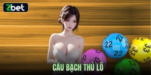 CẦU BẠCH THỦ LÔ ZBET - CÁCH SOI CHUẨN & CHIẾN LƯỢC TỐI ƯU VỐN