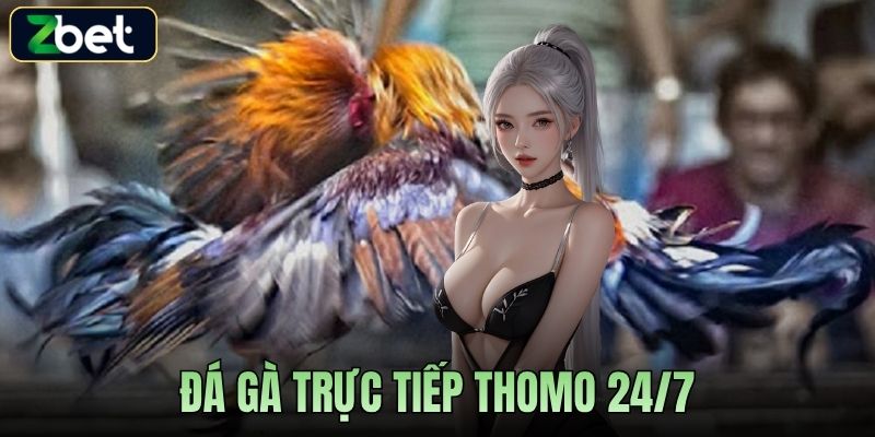 ĐÁ GÀ TRỰC TIẾP THOMO 24/7 ZBET CẬP NHẬT LIÊN TỤC MỖI NGÀY