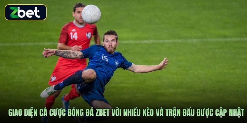 Giao diện cá cược bóng đá Zbet với nhiều kèo và trận đấu được cập nhật