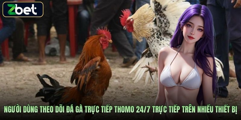 Người dùng theo dõi đá gà trực tiếp Thomo 24/7 trực tiếp trên nhiều thiết bị