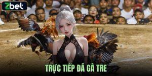 TRỰC TIẾP ĐÁ GÀ TRE ZBET - TRẢI NGHIỆM CHÂN THỰC, KỊCH TÍNH TỪNG GIÂY