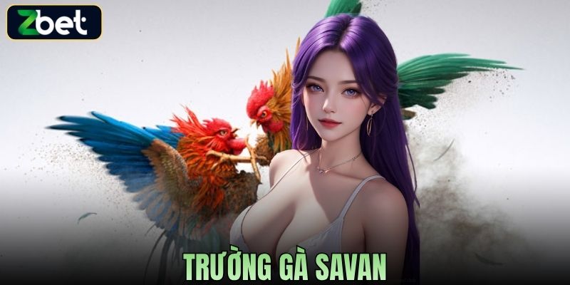 TRƯỜNG GÀ SAVAN - TÂM ĐIỂM CHỌI KÊ ĐỈNH CAO NAY CÓ MẶT TẠI ZBET